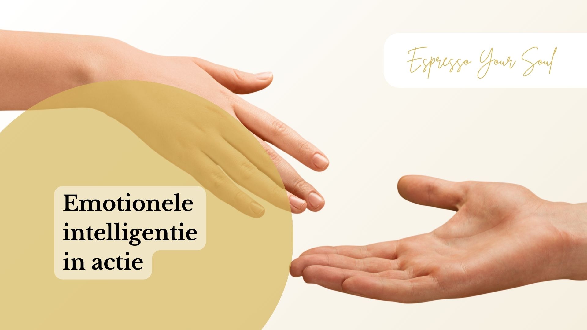 Emotionele intelligentie in actie