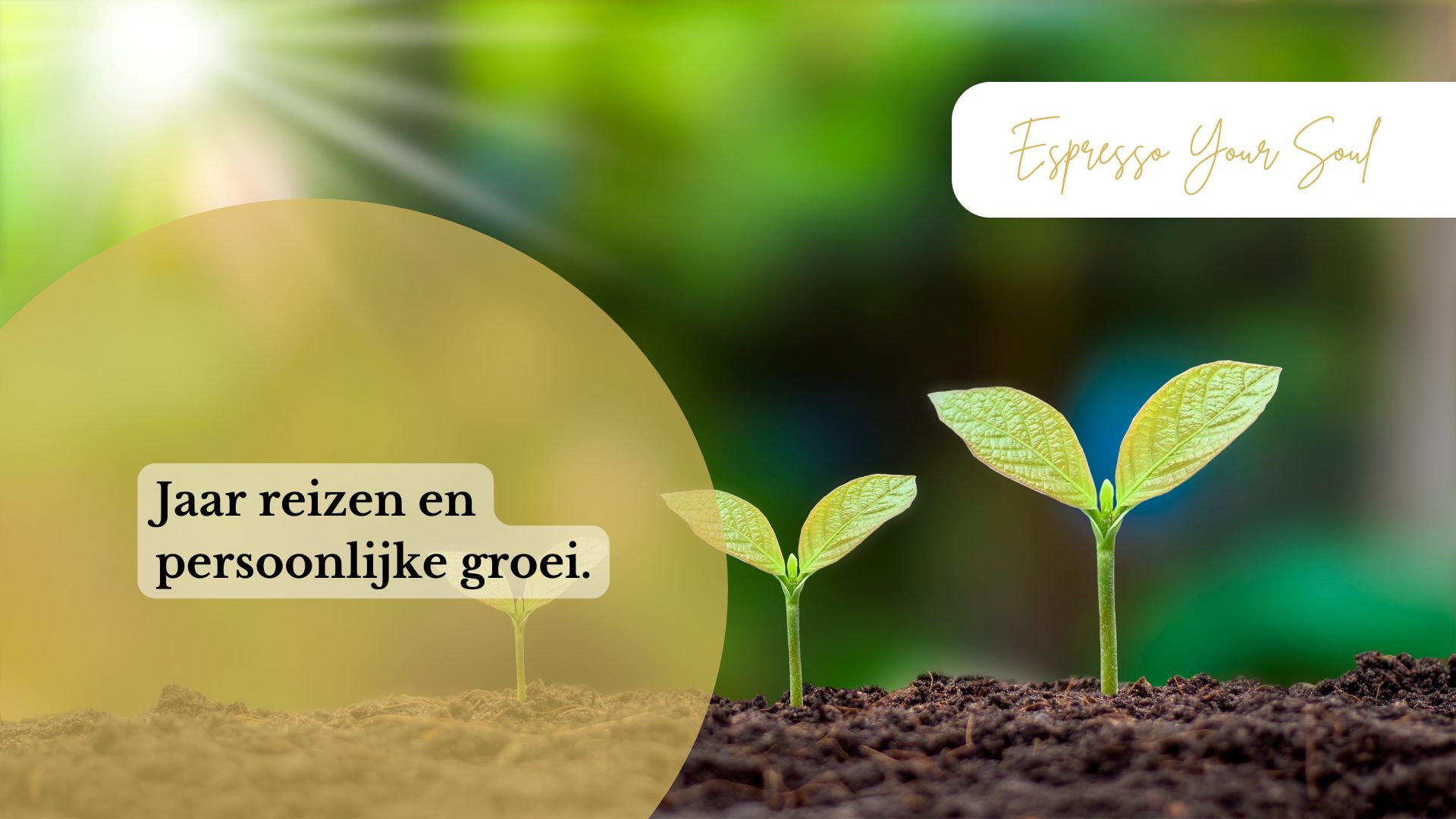 Wat één jaar reizen mij leerde over werk, geruchten en persoonlijke groei