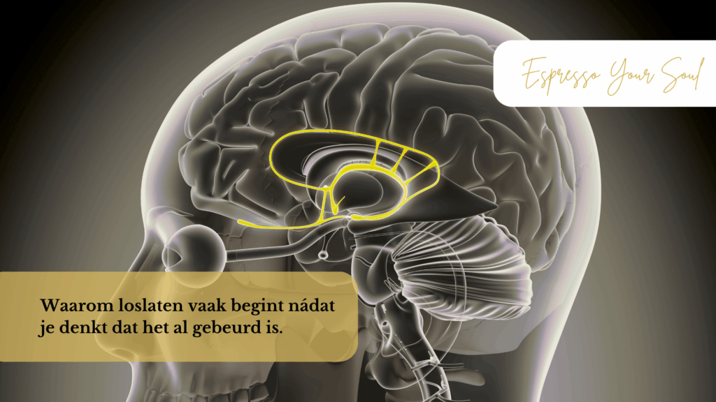Illustratie van het menselijke brein met focus op de amygdala en neocortex, als visuele ondersteuning bij een artikel over lichamelijke en mentale verwerking van stress.