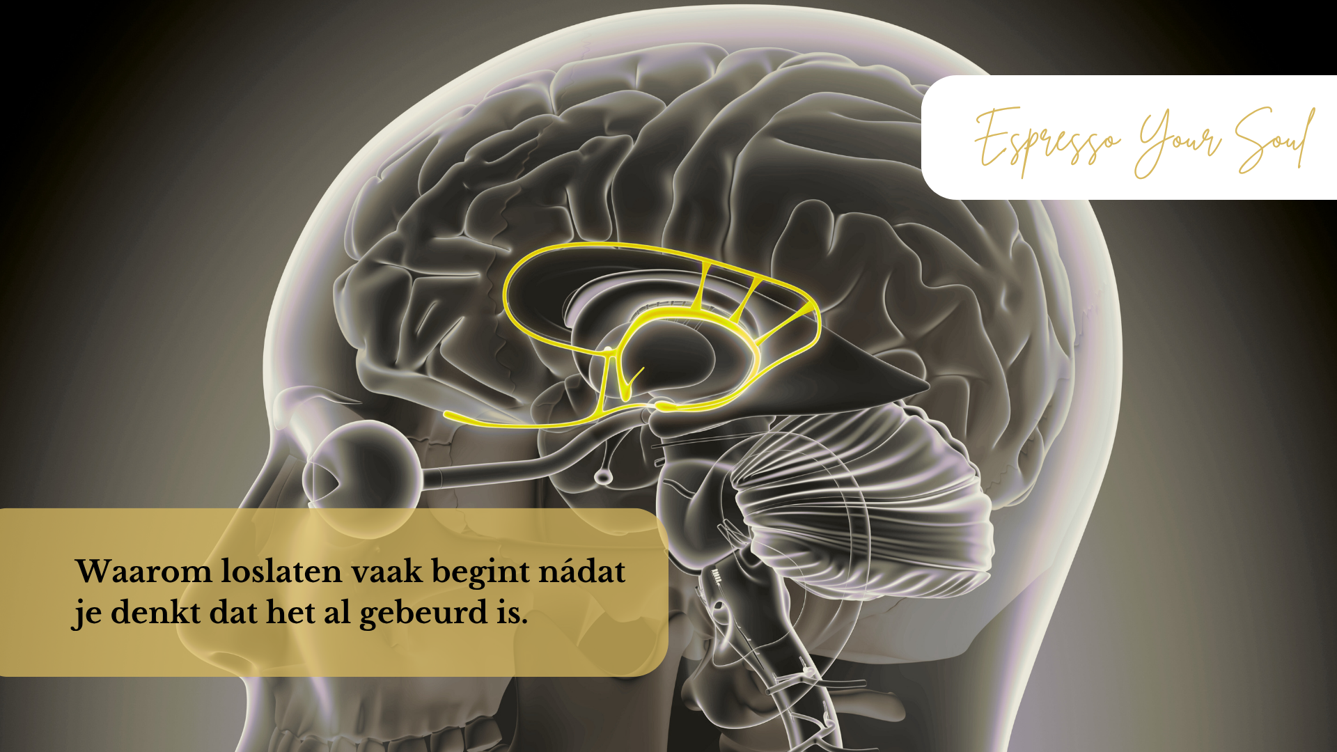 Illustratie van het menselijke brein met focus op de amygdala en neocortex, als visuele ondersteuning bij een artikel over lichamelijke en mentale verwerking van stress.